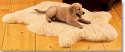 Shearling Pet Rug