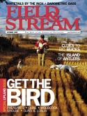 Field & Stream