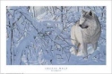 Arctic Wolf, Eric Bjorlin