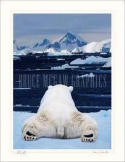 Dreams Of A Polar Bear, Art Wolfe
